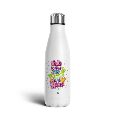 Botella Acero inoxidable 750ml – Contigo recorrería el mundo entero